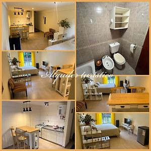 Apartamento de 1 Dormitorio